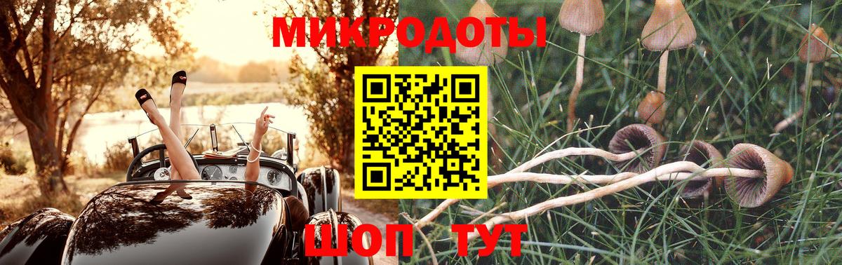 Галлюциногенные грибы прущие грибы  Вход с VPN  Пенза  Галлюциногенные грибы ЛСД 